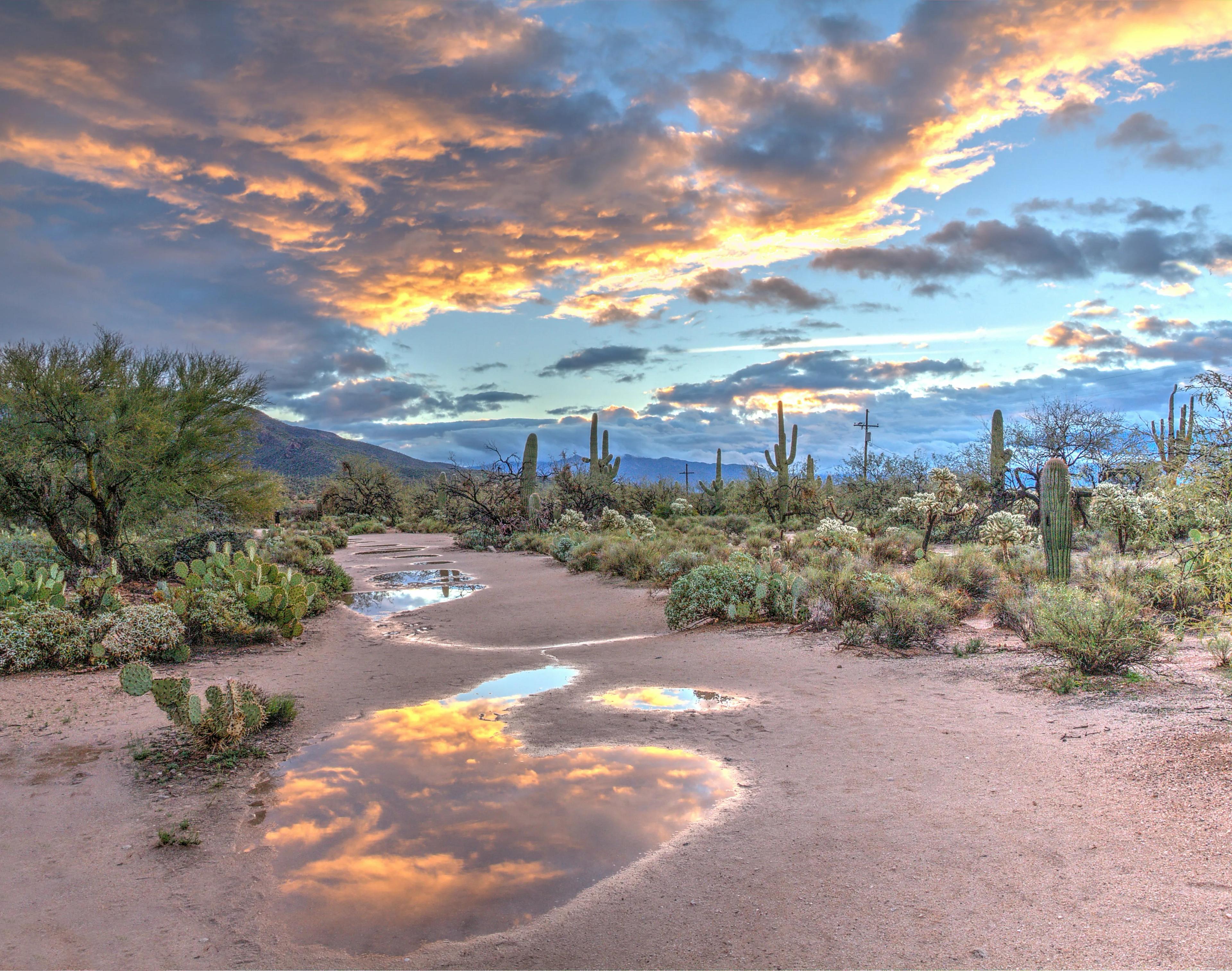 Arizona, United States