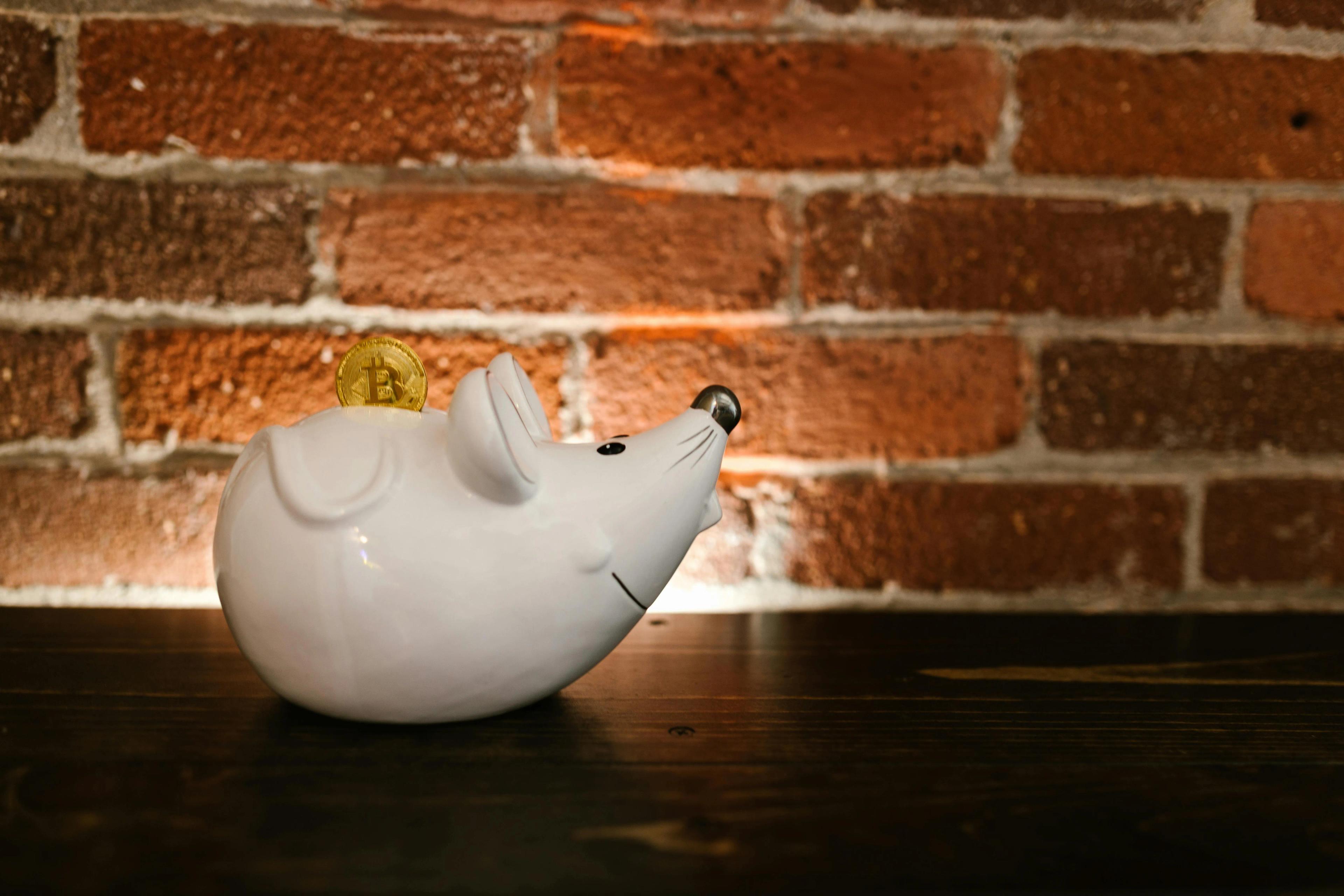 Piggy bank for savings with Bitcoin crypto in