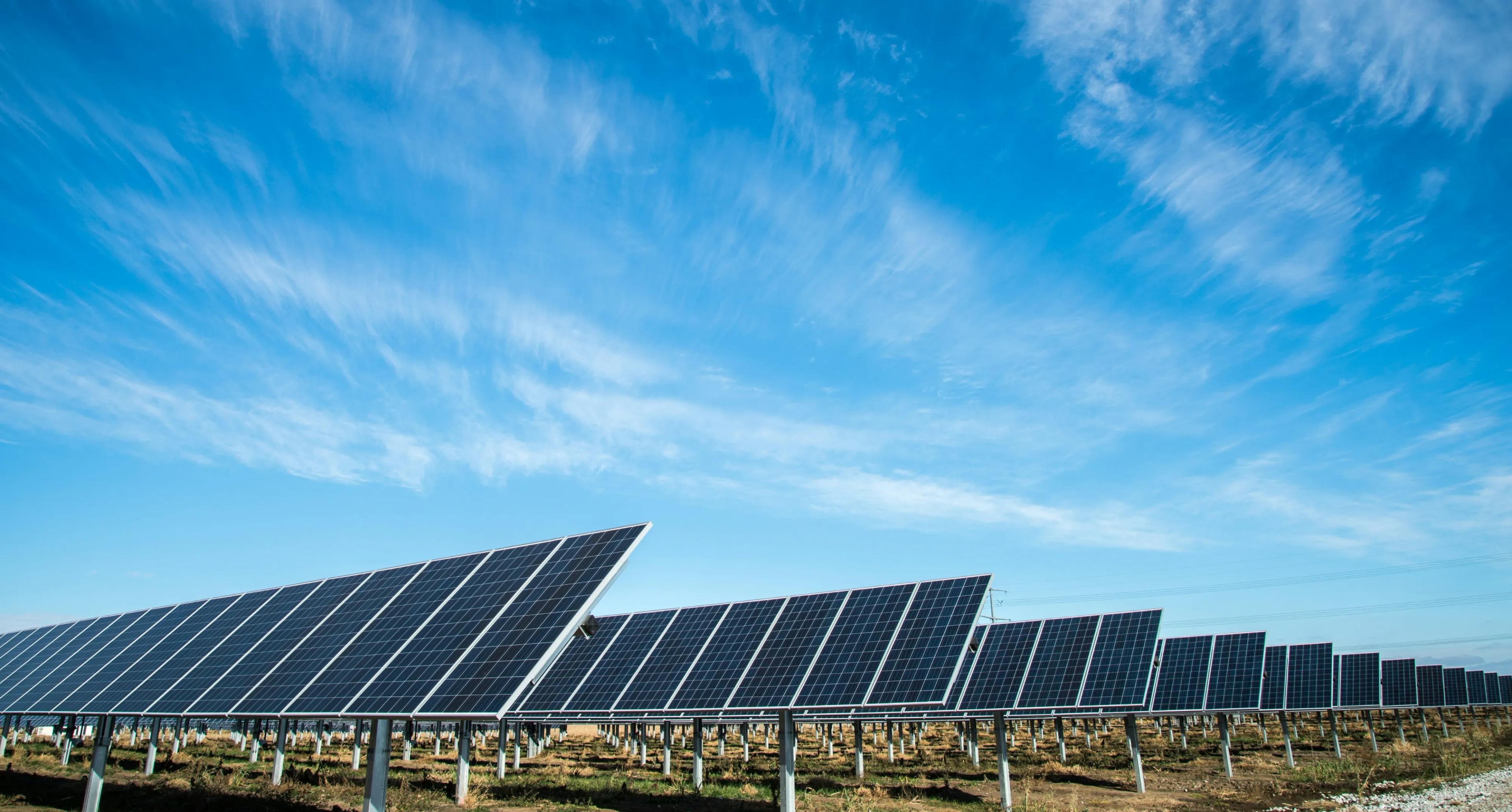 Solar panels in a solar farm