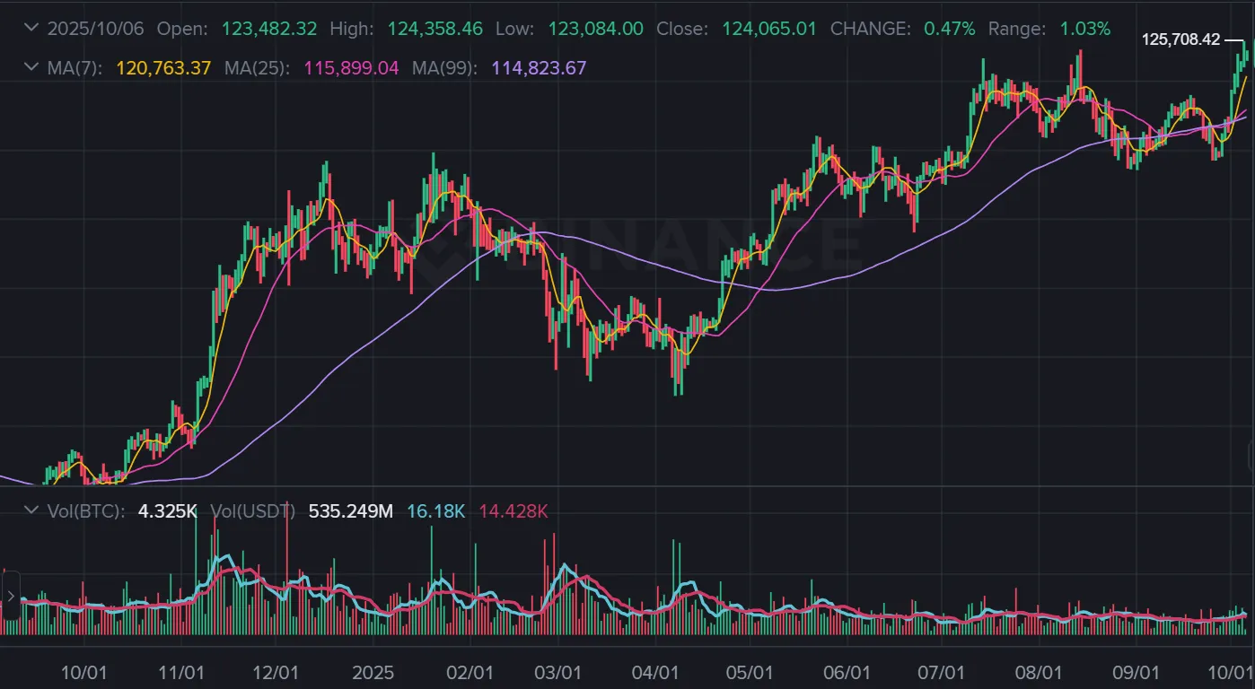Bitcoin price hits all time high chart 2025